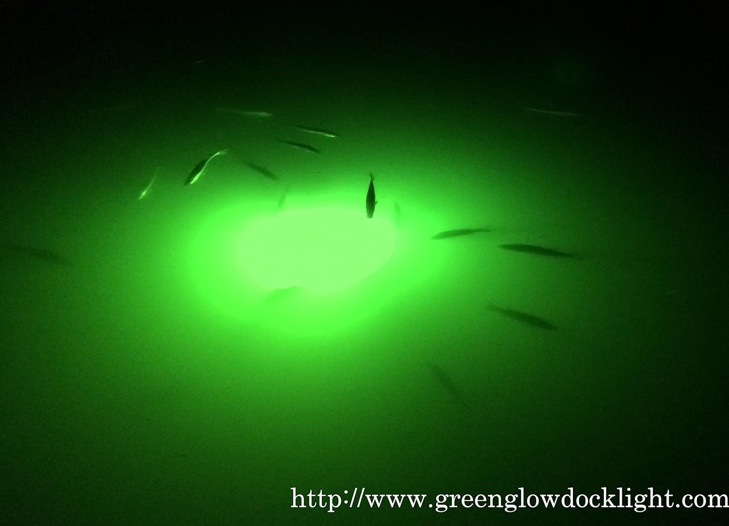 Replacement 21,000 Lumens, 250 Watt Extreme Brilliant Green Underwater Light with 50' Cord.