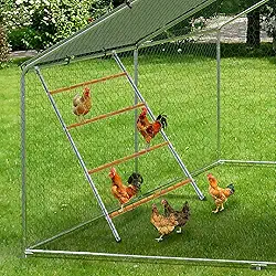 Poleiro de galinha, barras de cobertura de galinhas para galinheiro, fácil de montar e limpar, escada de frango para aves de fazenda de quintal (139,7 cm C x 101,6 cm L)