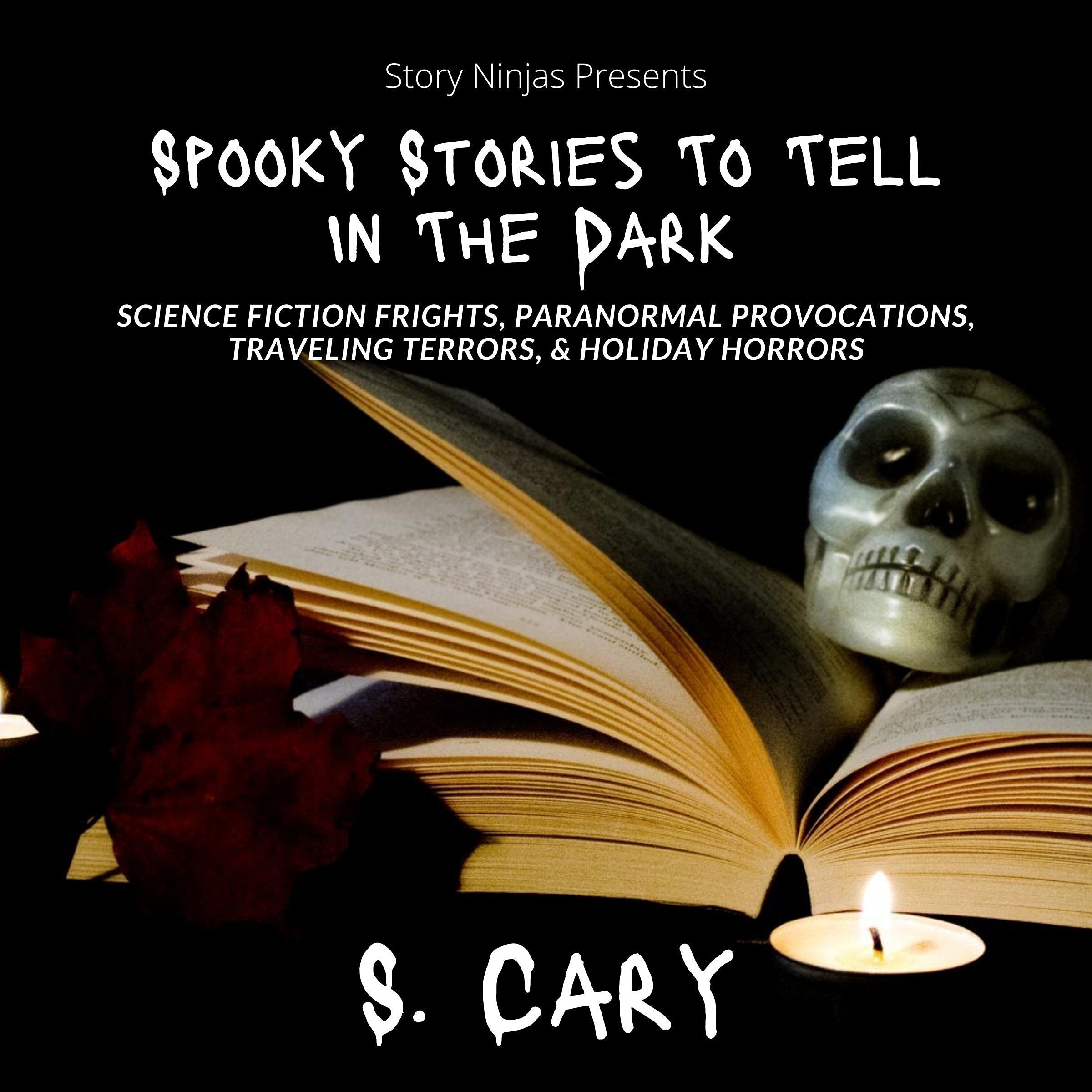Spooky Stories to Tell in the Dark