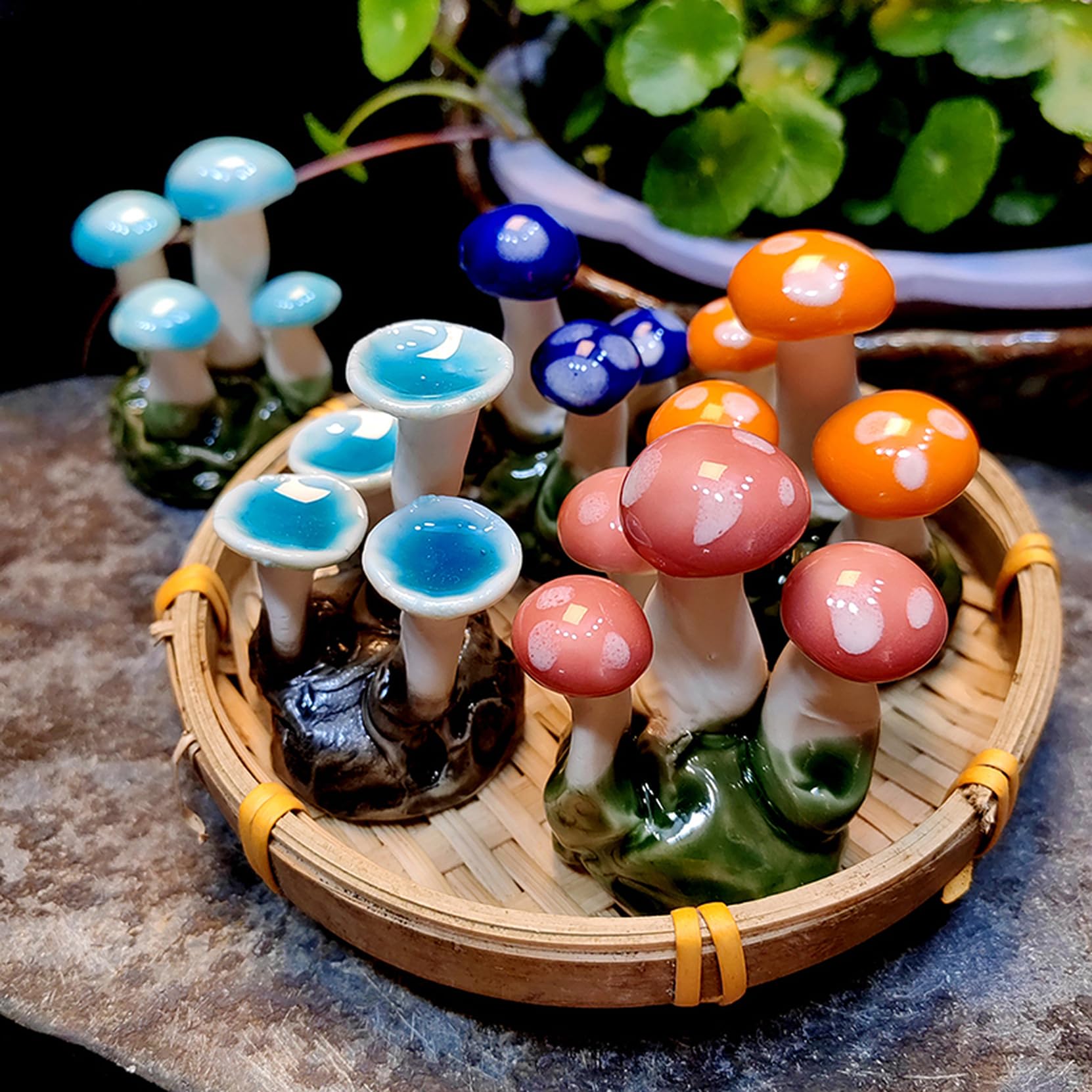 Amazon.co.jp: ガーデニング置物 きのこ 菌 置き物 園芸装飾