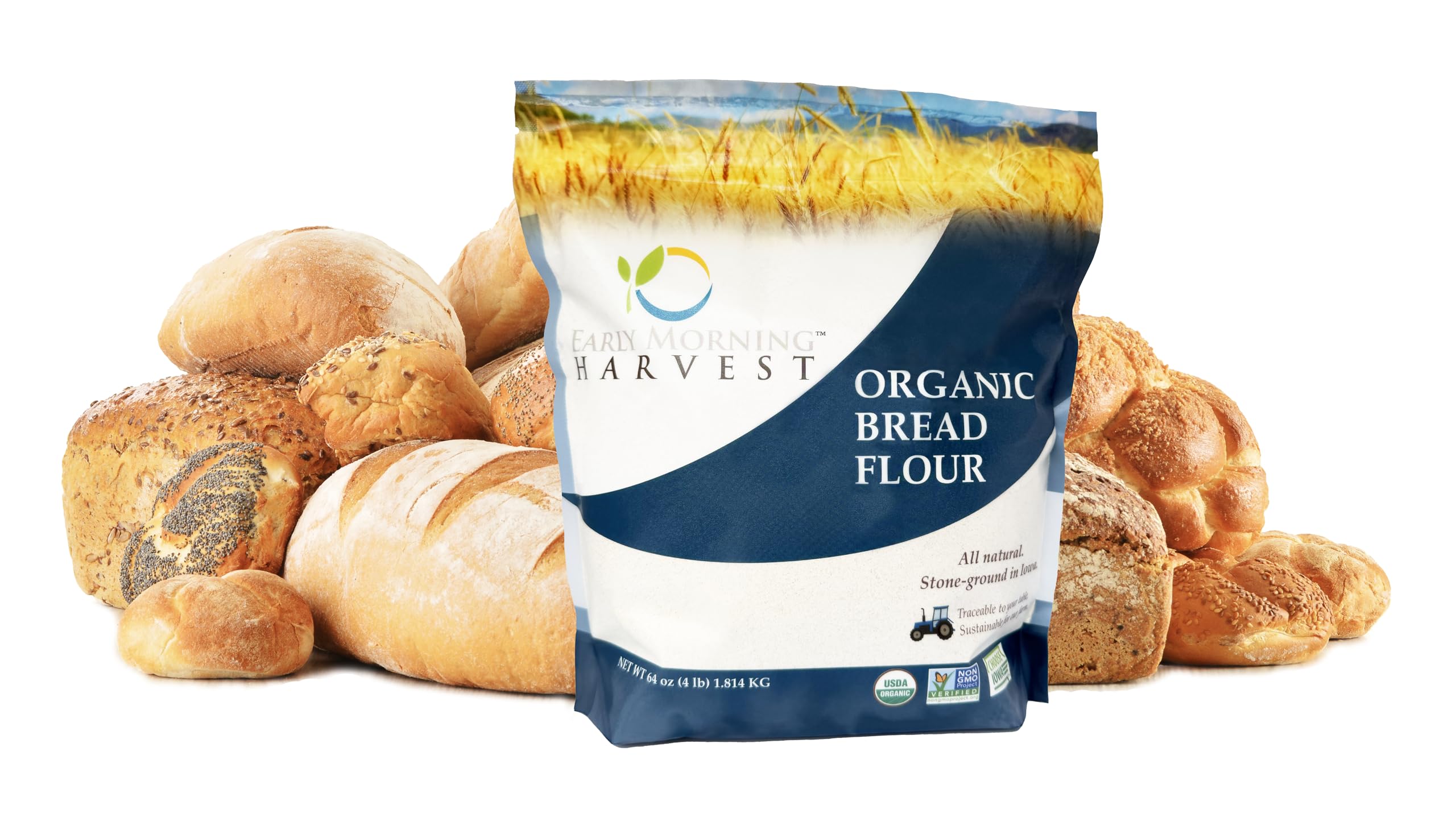 Early Morning Harvest Organic Bread Flour - Made from Non-GMO Whole Wheat - Stone Ground Flour for Baking and Cooking, Whole Grain, Certified Organic GMO free Unbleached