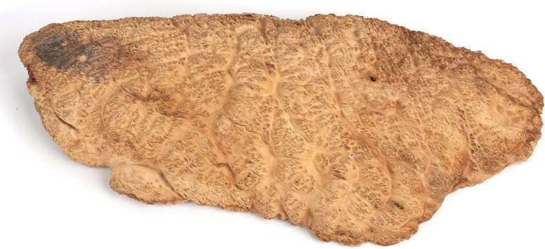Woodcraft Australian Brown Mallee Burl Cap 2Kg-4Kg 1-Piece