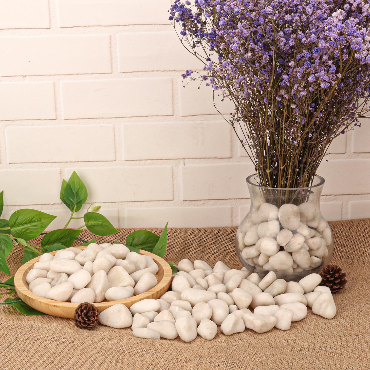Rocce di fiume naturali bianche di alta qualità da 3,5 cm – Versatile 10 kg di rocce di fiume e ciottoli per piante da esterno e interno, uso per pietre bianche decorative per giardino