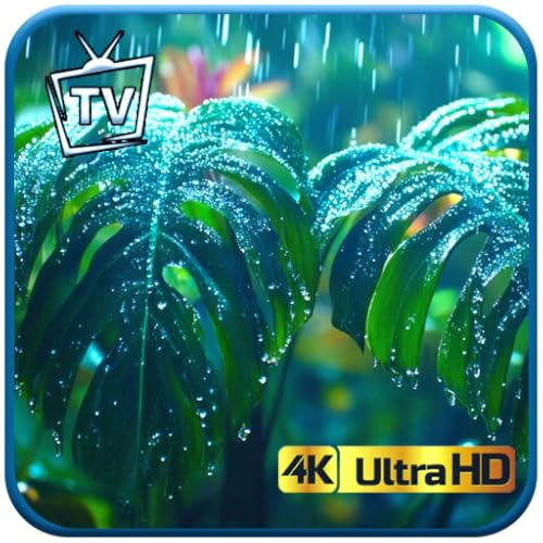 Dschungel-Oase – Tropisches Regenwald-Schutzgebiet UHD-Bildschirmschoner