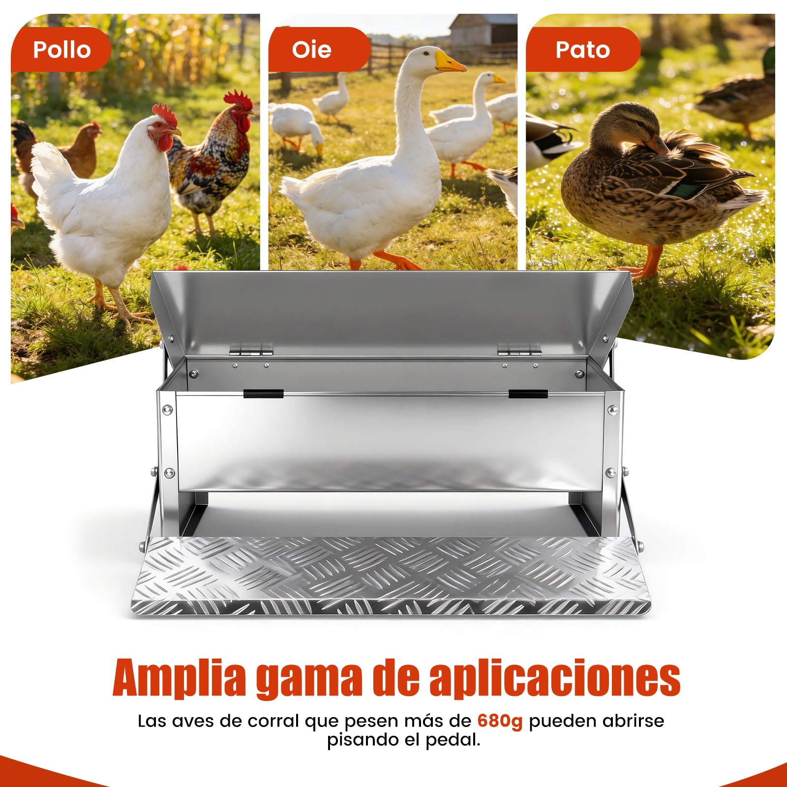 Comedero de Pedal para Pollos 5kg Metálico, Alimentador Anti Desperdicio A Prueba de Roedores con Tapa Resistente a la Intemperie para Gallinas Enanas y Faisanes