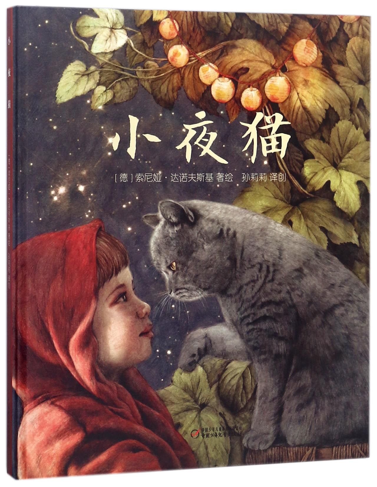 猫の本 Amazon.co.jp: 小夜猫(精) : 本