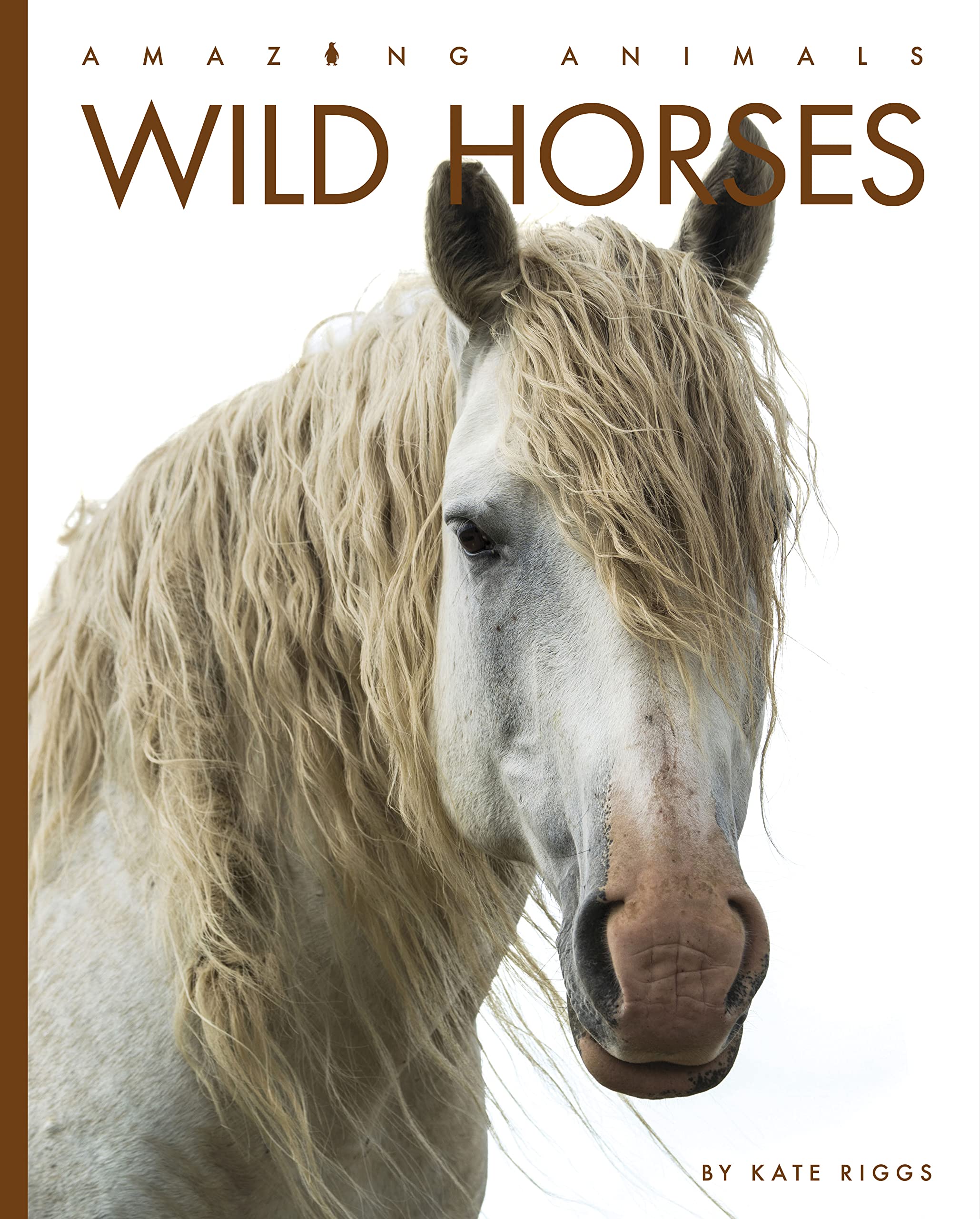 Wild Horses (Amazing Animals)