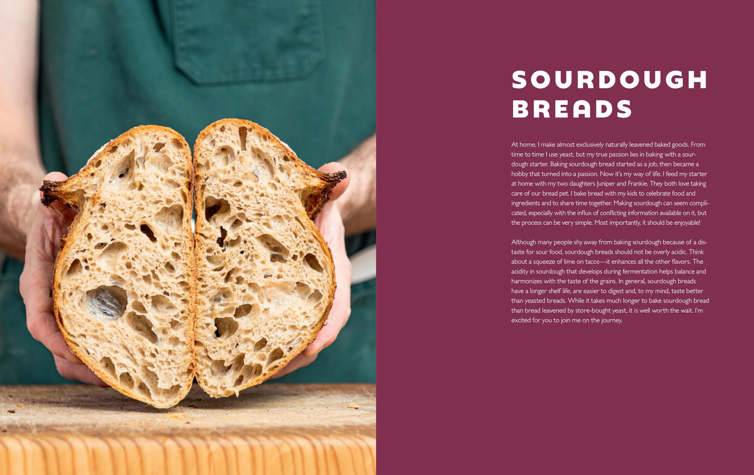 Bread Etc.: Recipes + Techniques for Baking with Sourdough, Yeasted Dough, Pizza Dough + More