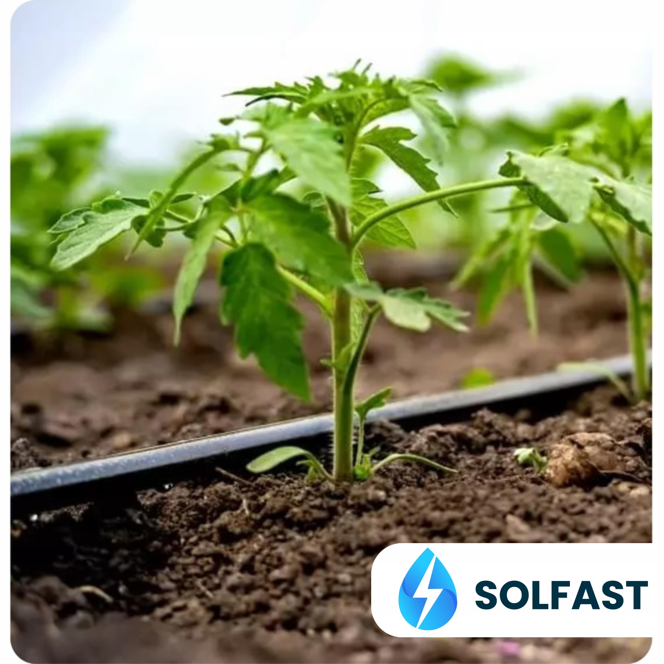 Tuyau d'arrosage goutte à goutte 100 m 16 mm – Système d'irrigation avec goutteurs intégrés – 2 L/h – 33 cm de distance – Tuyau d'arrosage goutte à goutte
