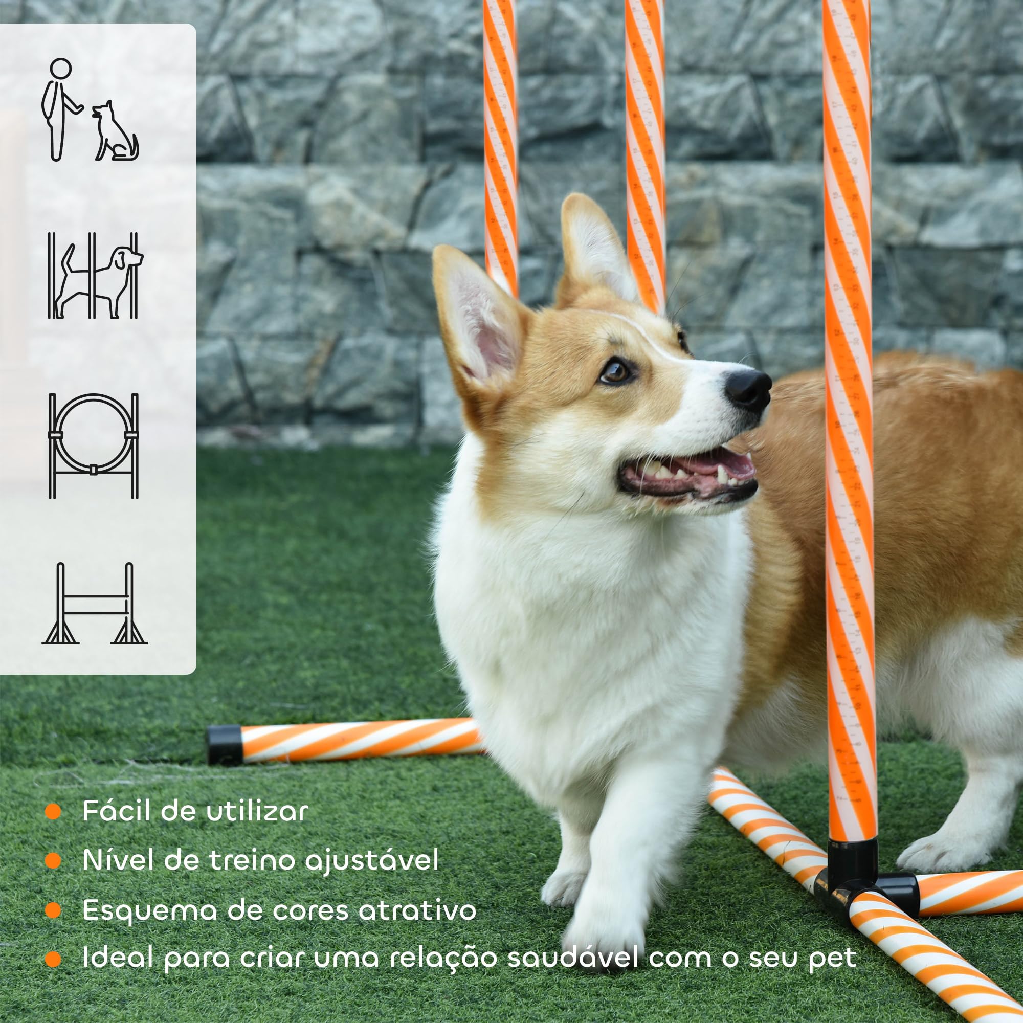 PawHut Set de Entrenamiento de Agilidad para Perros de 4 Piezas Juego de Agilidad para Perros con Valla, Slalom con piquetes, Zona de Descanso y Anillo de Salto Naranja