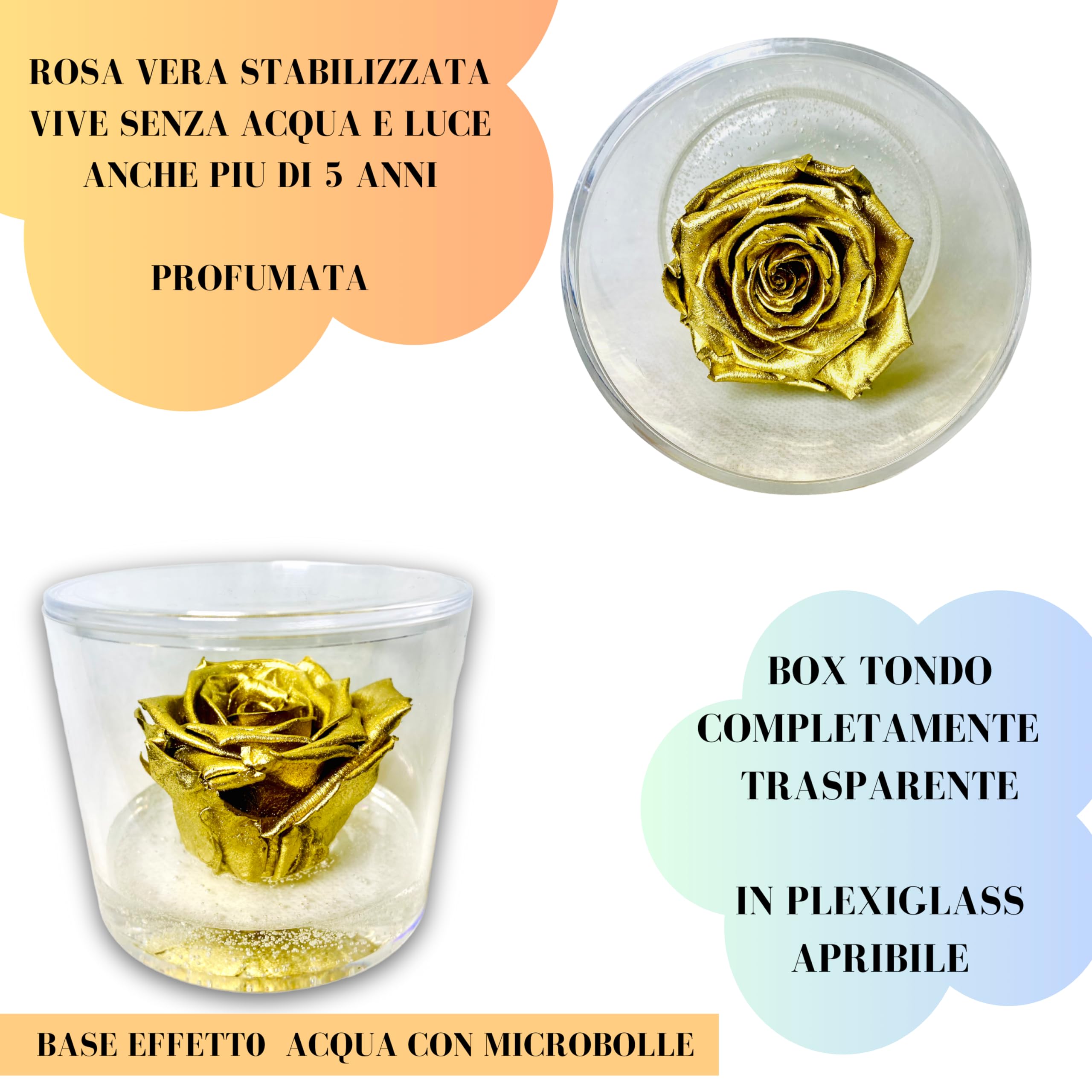 Box Tondo Rosa Oro stabilizzata Profumata plexiglass 9cm Idea Regalo Nozze Matrimonio Anniversario 50 Anni Fatto in Italia