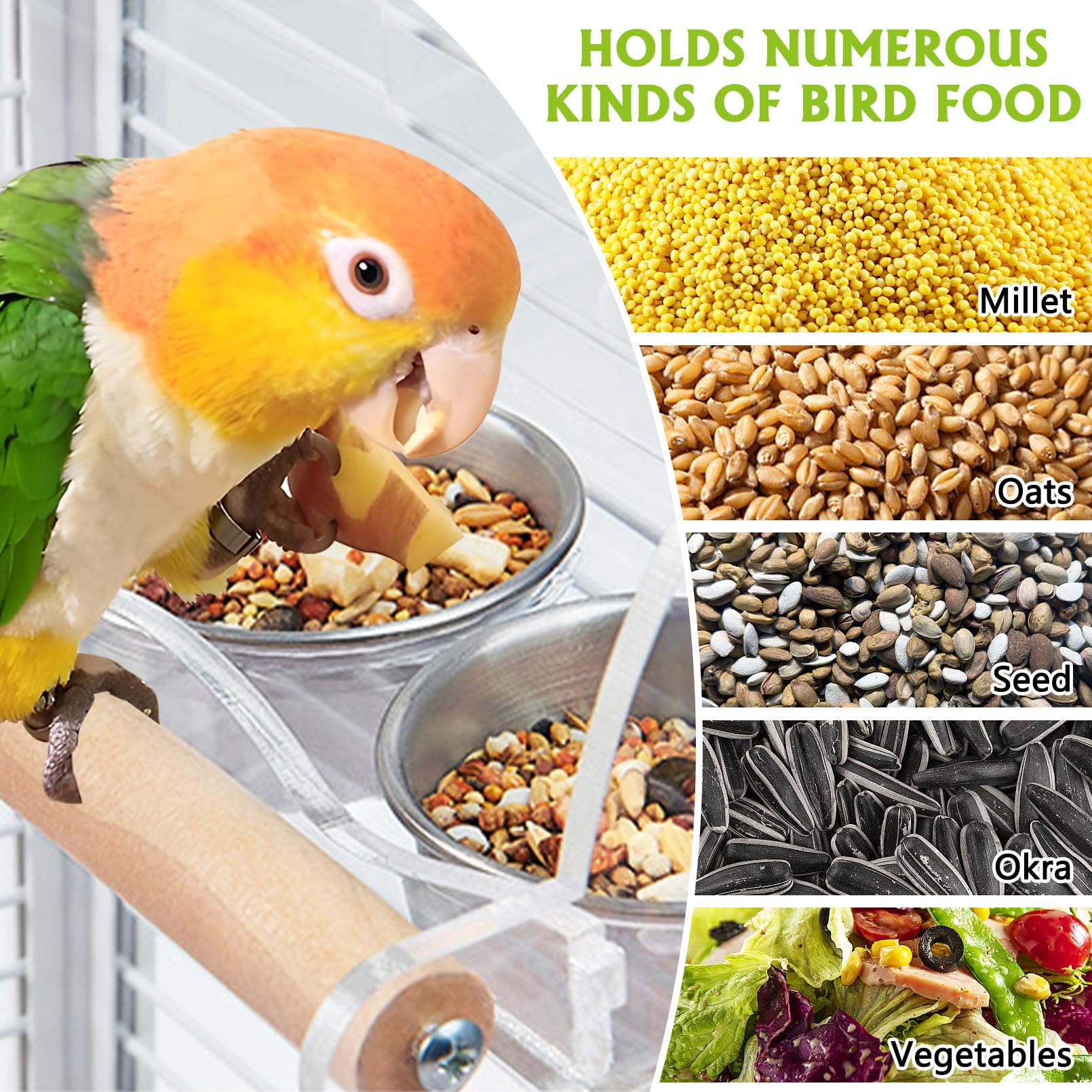 BNOSDM Bird Feeder for Cage with Double Stainless Steel Food & Water Bowls Anti-Slip Wood Perch Stand with No Mess Acrylic Seed Catcher for Parrot, Budgie, Parakeet, Lovebird, Canary, Finch (Hook) - image 7