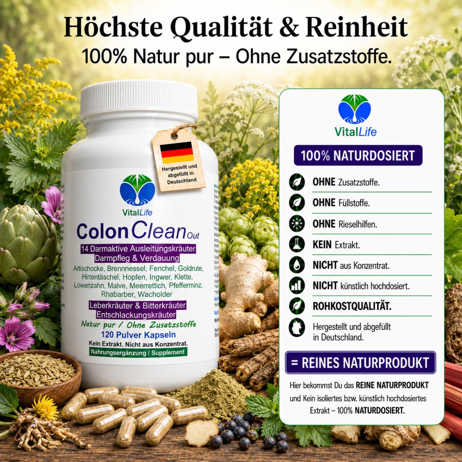 Colon CleanOut DARM AKTIV 3x120 Kapseln 14 BITTERKRÄUTER & BITTERSTOFFE für DARMROUTINE & gutes BAUCHGEFÜHL mit Artischocke Löwenzahn Brennnessel Fenchel Ingwer. Natur pur. OHNE ZUSATZSTOFFE. 26540-3