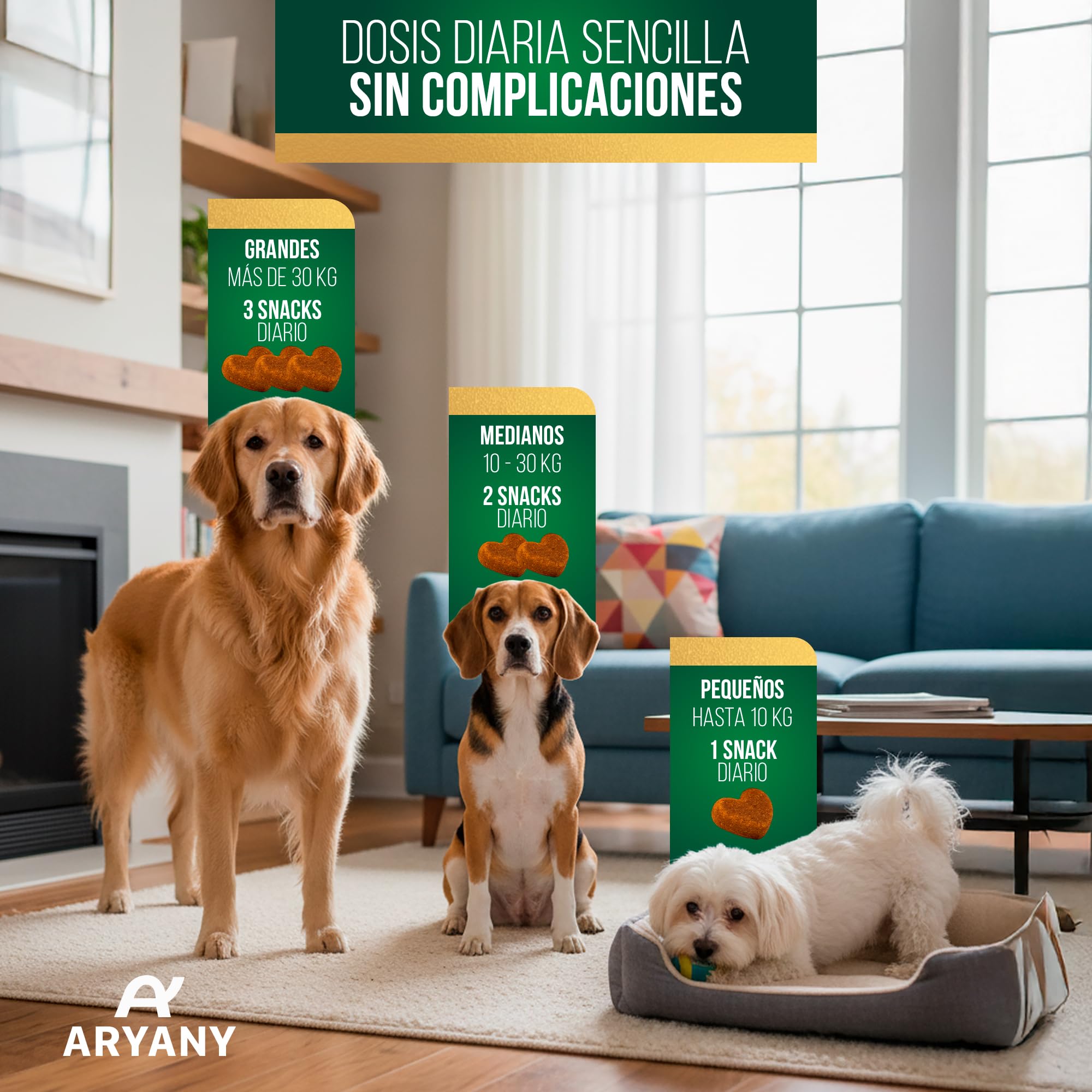 ARYANY Condroprotector Perros Snack Masticable (60 Uds) - Fórmula Premium de Alta Concentración: Glucosamina 200mg, Condroitina, MSM 200mg, Ácido Hialurónico, Colágeno - Antiartrosis