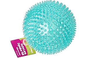 Spiky Squeaky Dog Balls: The Squeaky Clean Choice for Canines
