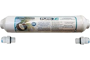 Inline 10" Granulated Activated Carbon Filter