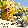 Product Photo 7