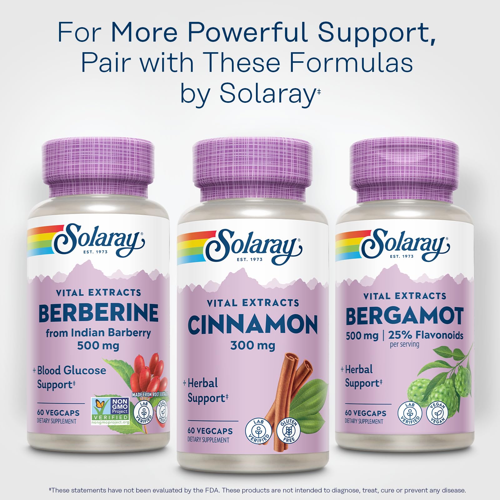 Cinnamonさん専用 Amazon.com: SOLARAY Cinnamon Extract 300mg - Cinnamon Supplements