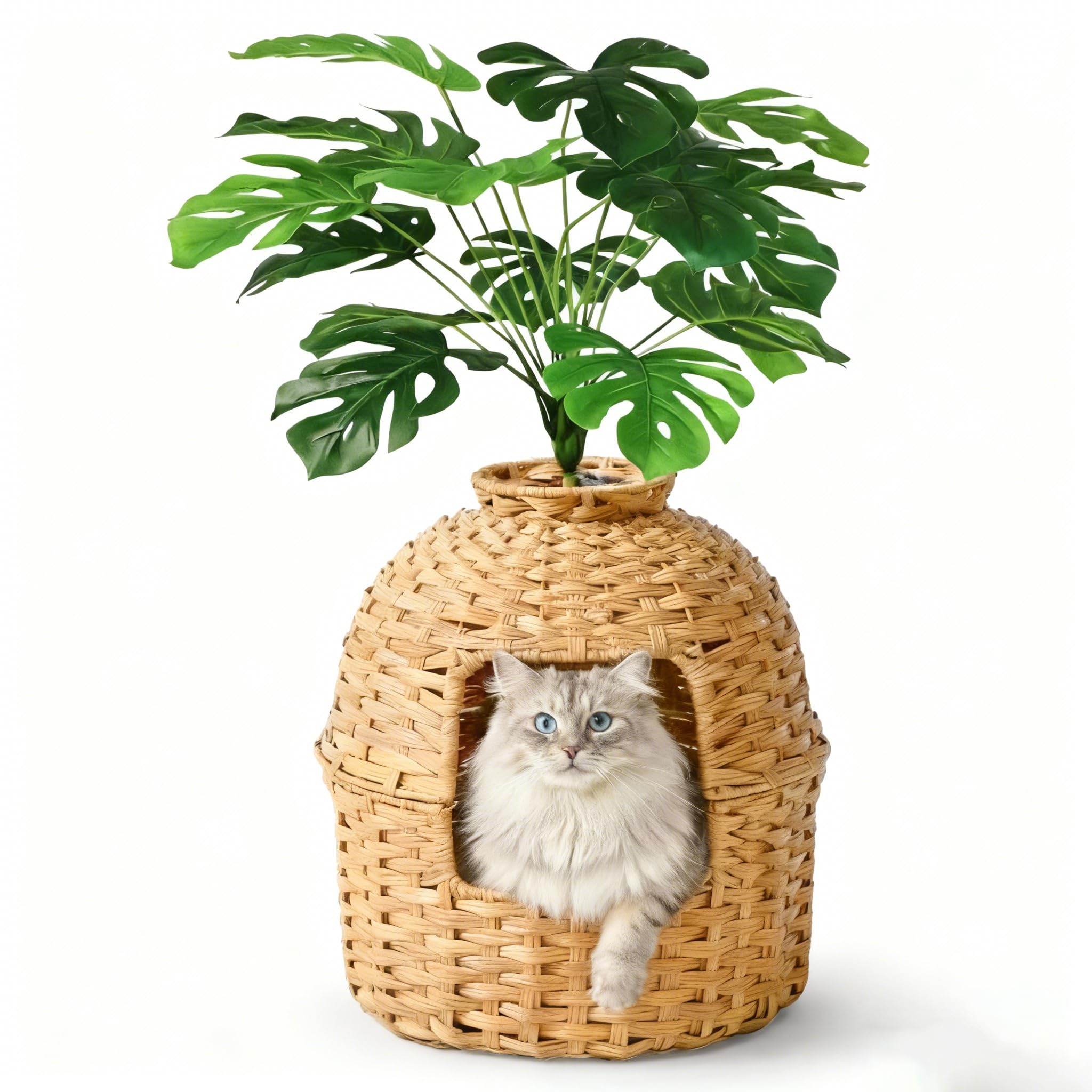 Lettiera per gatti nascosta con pianta e pala, in rattan intrecciato a mano, con controllo degli odori e filtro al carbone (naturale, porta quadrata)