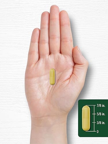 Miniatura 8 de Carlyle Suplemento de berberina HCL | 500,000mcg | 60 cápsulas | Vegetariano, sin OMG, sin gluten