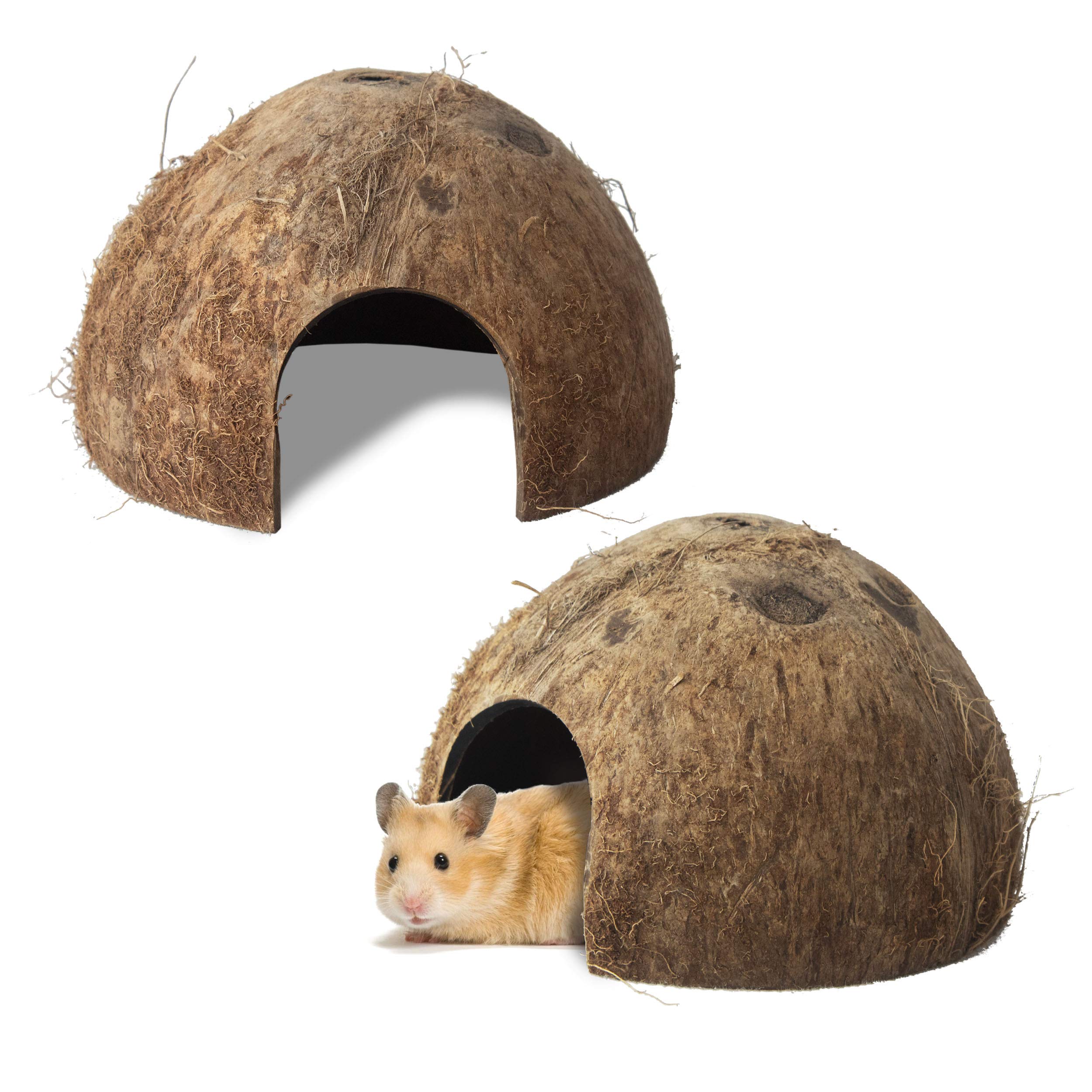Buy Natural Coconut Habitat Coco Tunnel House Reptile Lizard Hermit