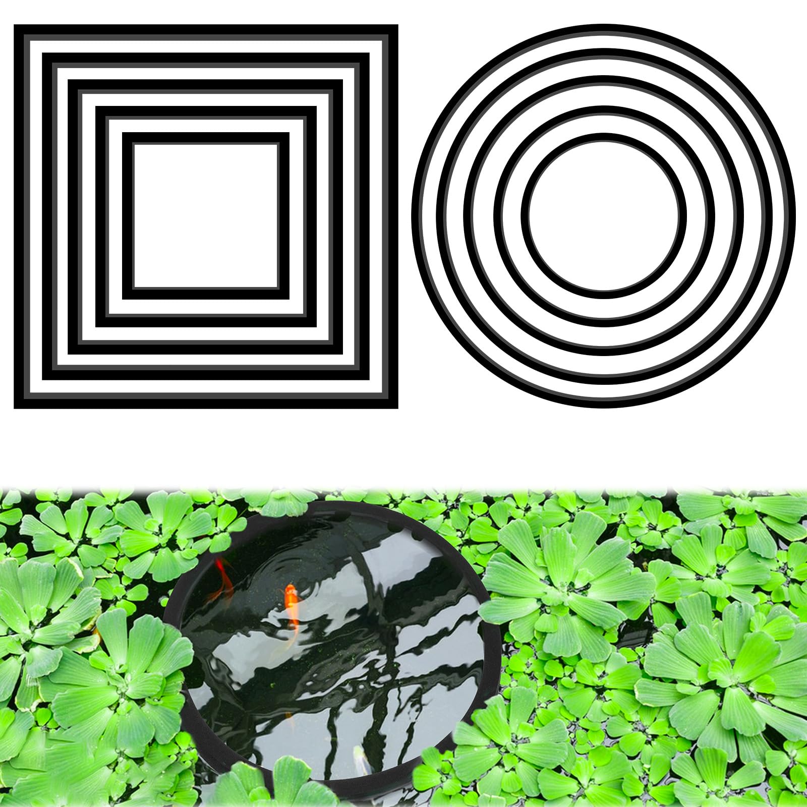 10 Pcs Aquarium Feeder Ring, Aquarium Floating Plant Ring EVA Fish Feeding Station with 5 Round and 5 Square Rings, Floating Food Corral for Freshwater and Saltwater Tank, 5Sizes 8-20cm Black