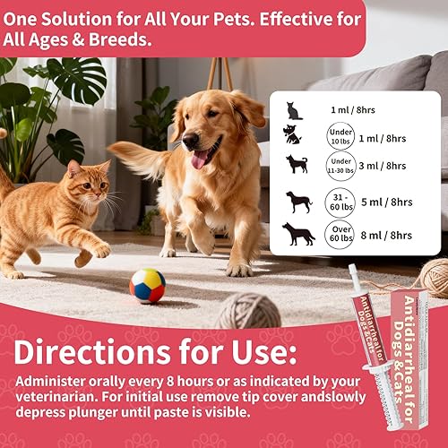 Miniatura 6 de Suplemento antidiarreico para perros, antidiarrea para gatos, pasta probiótica de caolín y pectina, apoyo digestivo de acción rápida, probiótico