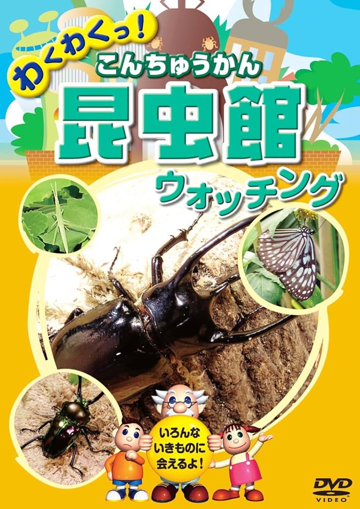 フクロウガスム　DVD フクロウガスム」DVD - Muse of Soul SHOP
