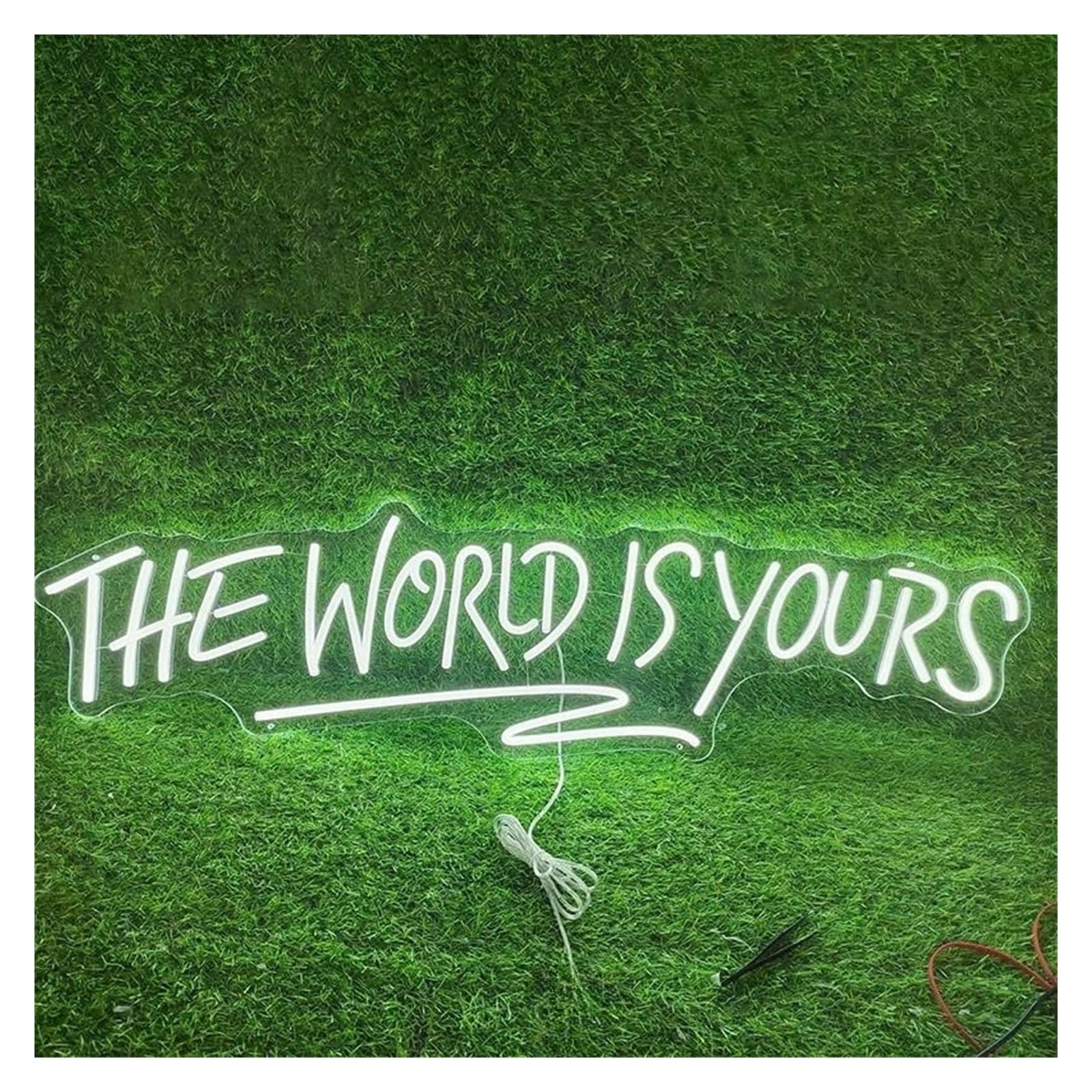 Lemst E Signs Lamp Th World Is Yours Neon Signs Adjustabl Brightness Letter Lights Suitabl For Club Party Decor(,60X18cm)