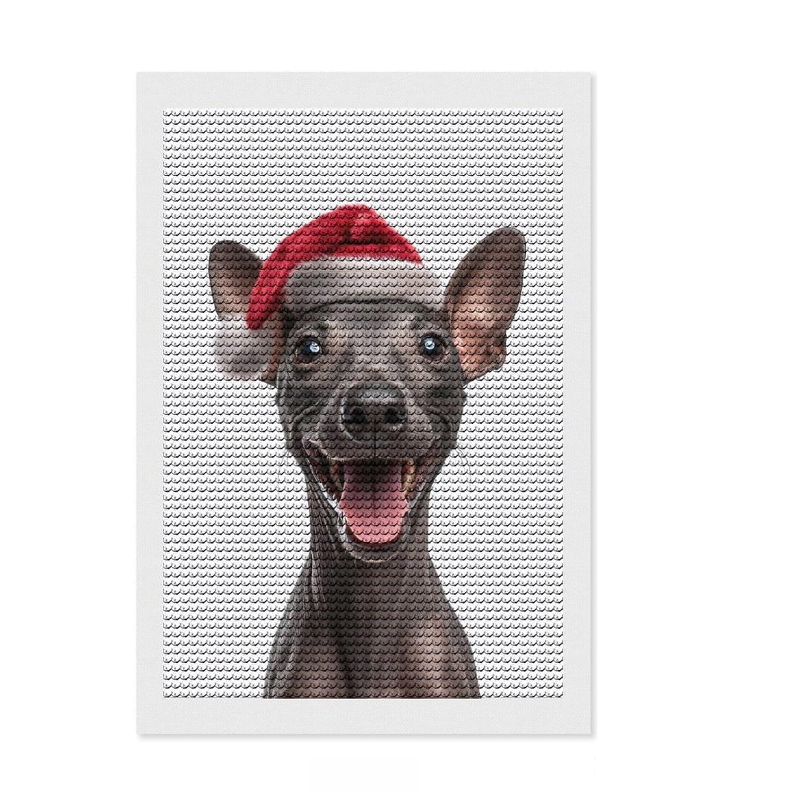 Junmoney Festive American Hairless Terrier with Santa Hat Diamond Art Canvas 8"x12", for Craft Lovers, Neat Printed Canvas, Christmas Gift, Cosy Home Accent, Adhesive Canvas