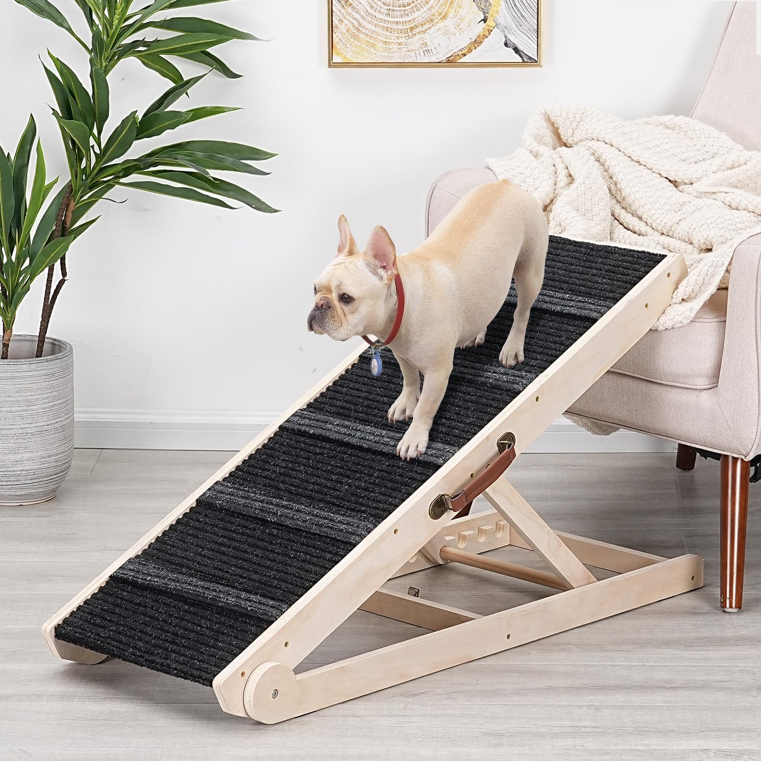 Dog Ramp for Bed - Foldable Small to Large Dog Ramp for Couch - 6 Adjustable Height from 12" to 24" - Stairs with High Traction Mat - Wooden Portable Ramp for Dogs to Get on Bed Couch Car Up to 200LBS Burlywood(black)