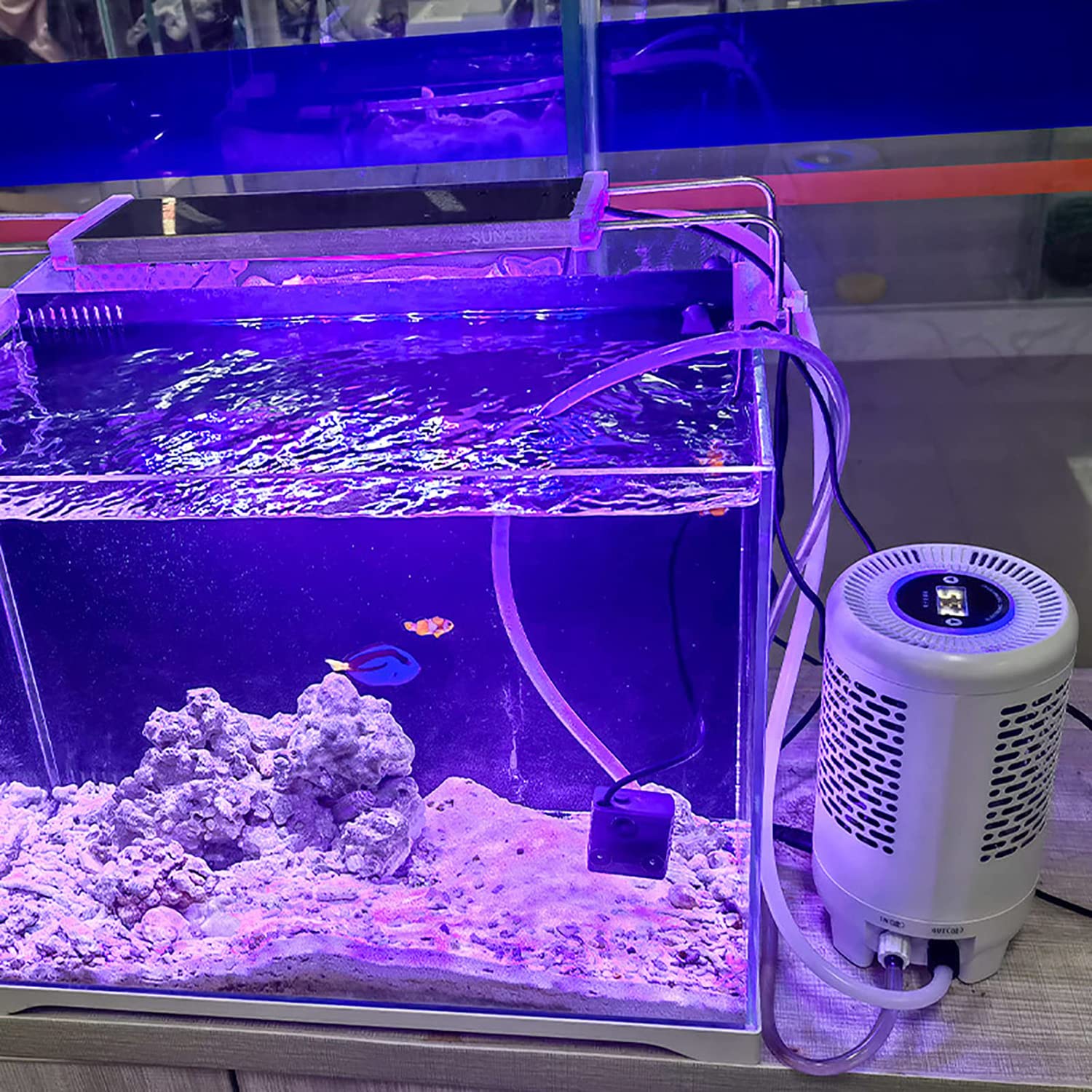 Macchina per Il Riscaldamento e Il Raffreddamento Digitale dell'acquario, Chille per Acquario, Termostato per refrigeratore per Acquario da 45 Litri, Temperatura Regolabile, Displa