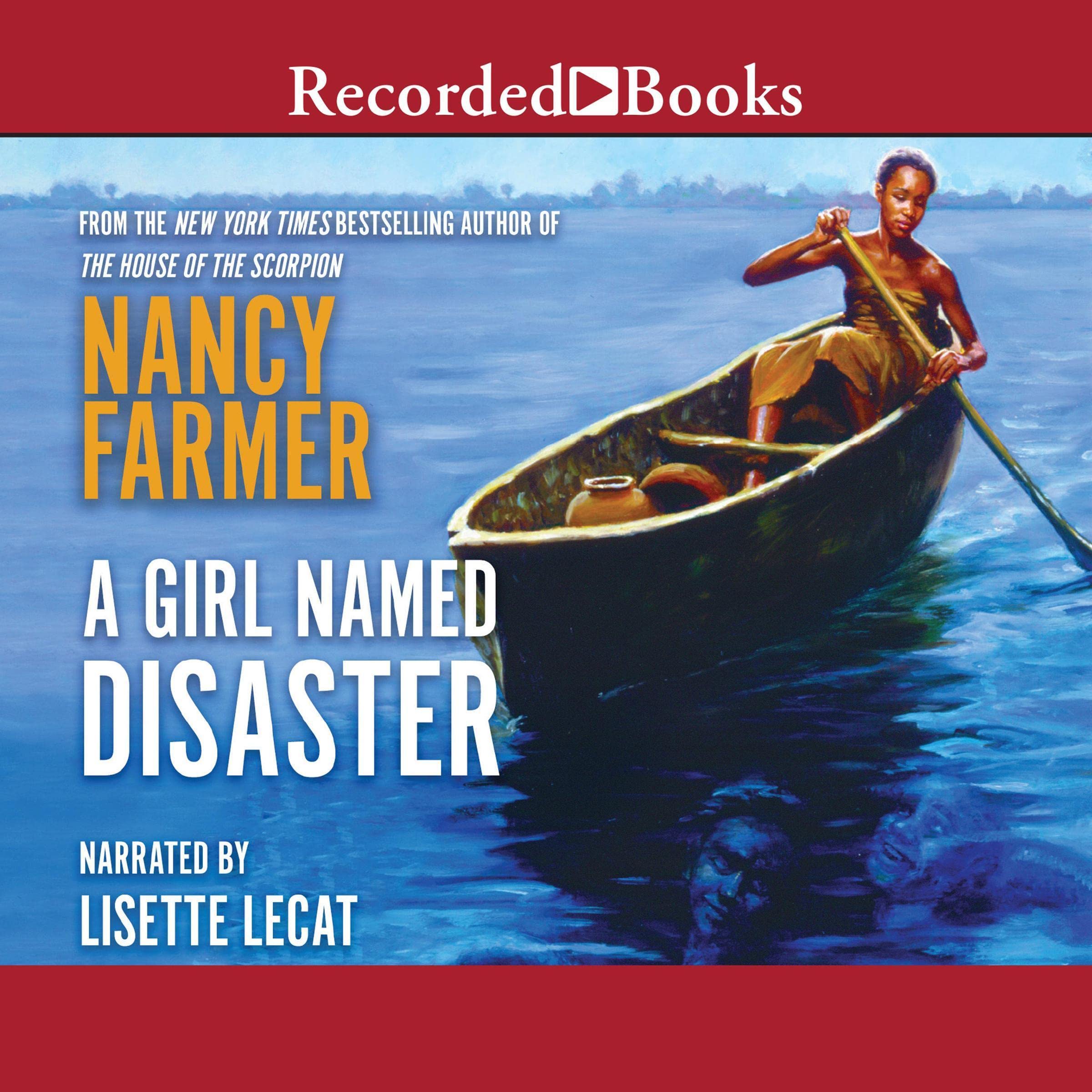 Cover art for A Girl Named Disaster