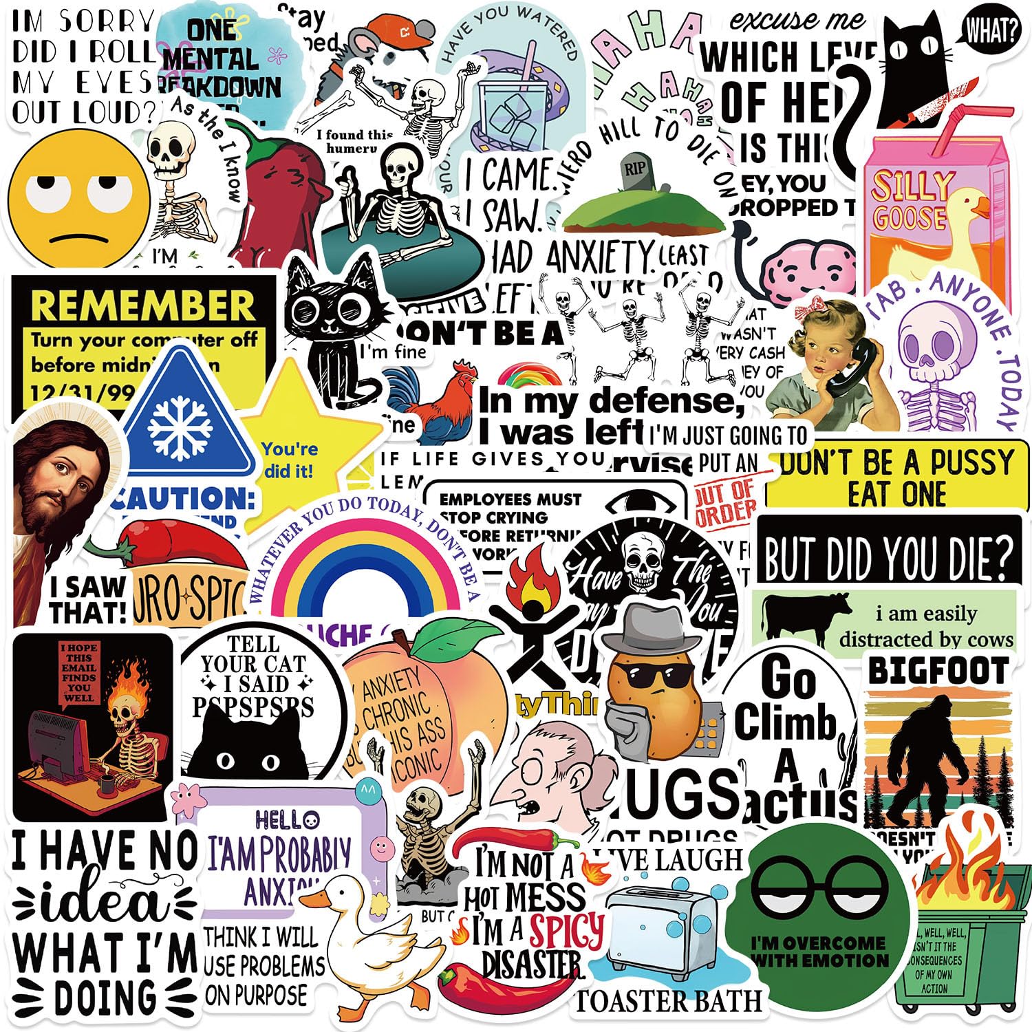 50Pcs Funny Sarcastic Snarky Meme Stickers Laptop Car Scrapbook Phone Skateboard Suitcase Luggage Bike Snarky Meme Vinyl Waterproof Aesthetic Personalised Stickers for Teens Boys Girls Adults