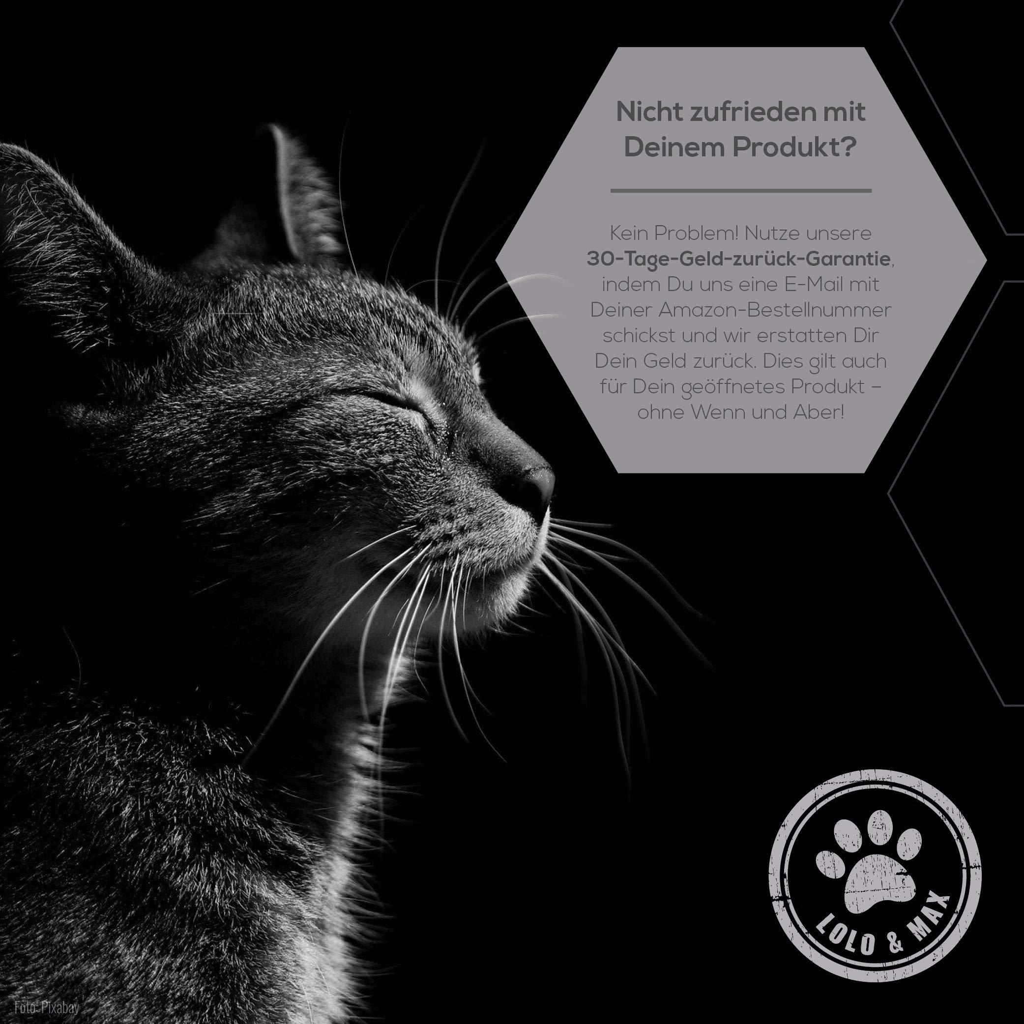 Lolo & Max - Floh- und Zeckenmittel für Katzen 100% Natürlicher Spot On - Bis zu 8 Monate Abwehr & Bekämpfung von Flöhen & Parasiten (Zecken,Milben,Läuse,Haarlinge,Wanzen) - Mittel gegen Flöhe - 40ml