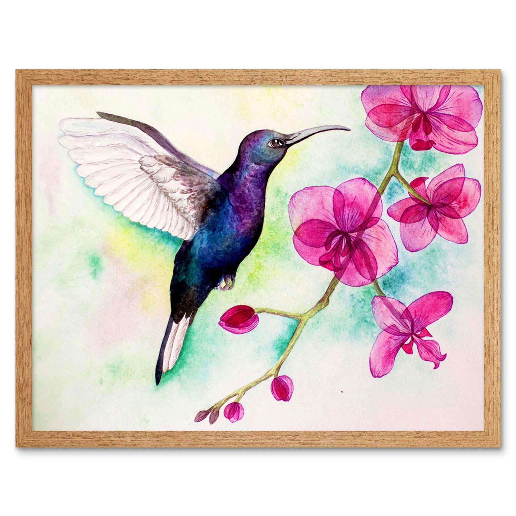 Wee Blue Coo Hummingbird And Orchid Art Print Framed Poster Wall Decor 12X16 Inch