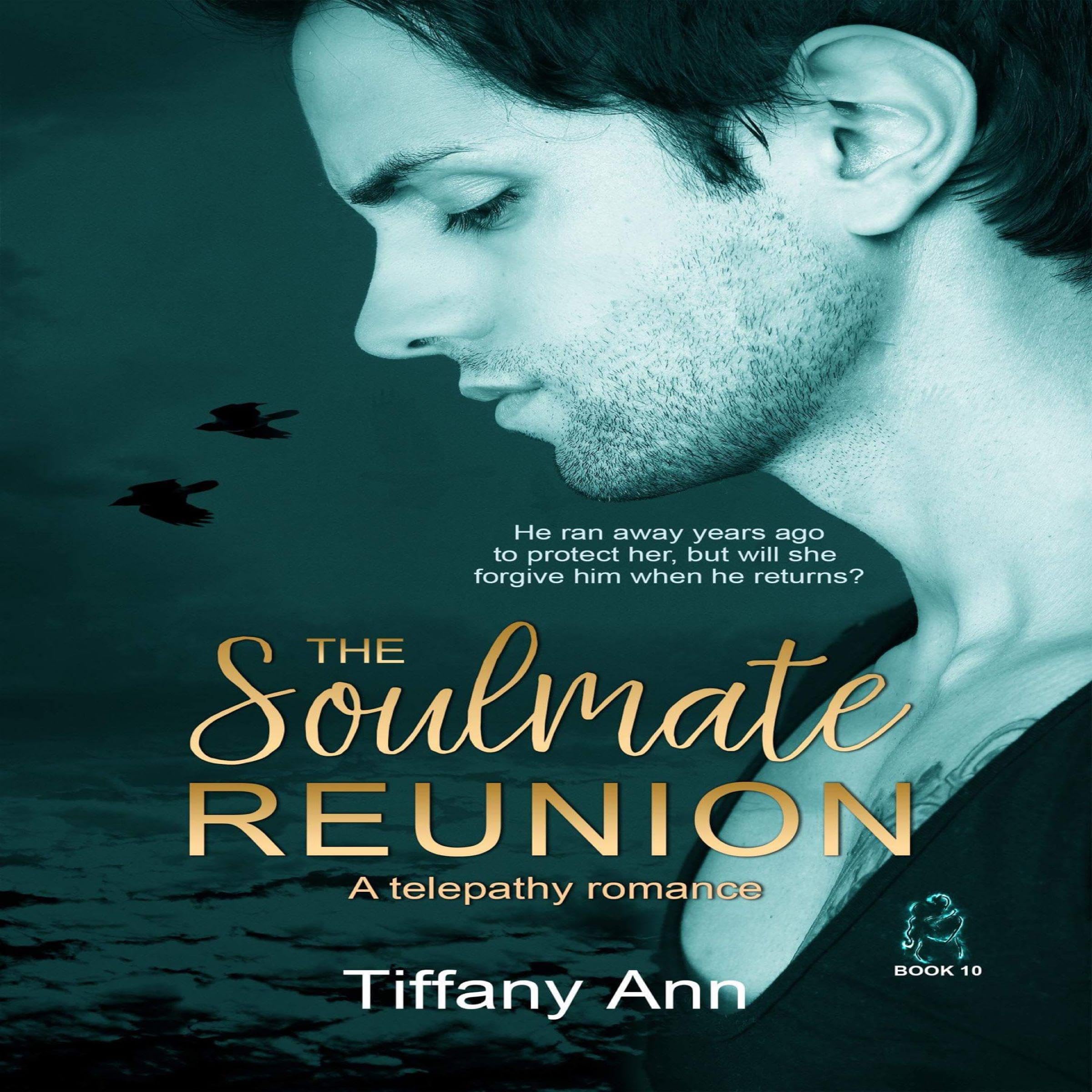 Cover art for The Soulmate Reunion