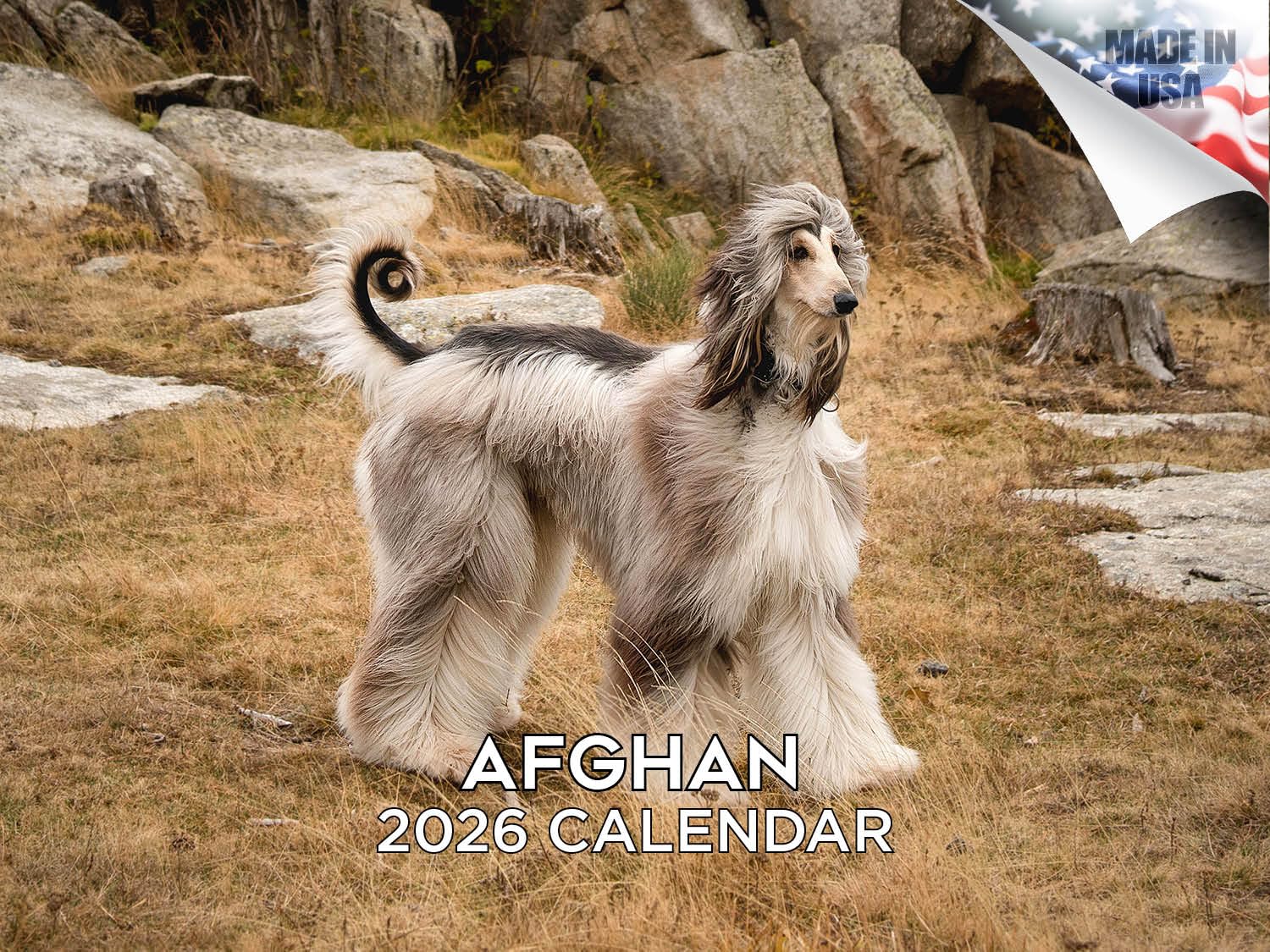 Calendario 2024 2025 de perro afgano – Calendario mensual de pared de raza de perro – 12 x 18 pulgadas abierto – Papel grueso que no se corre – Regalo – Planificador académico para profesores,