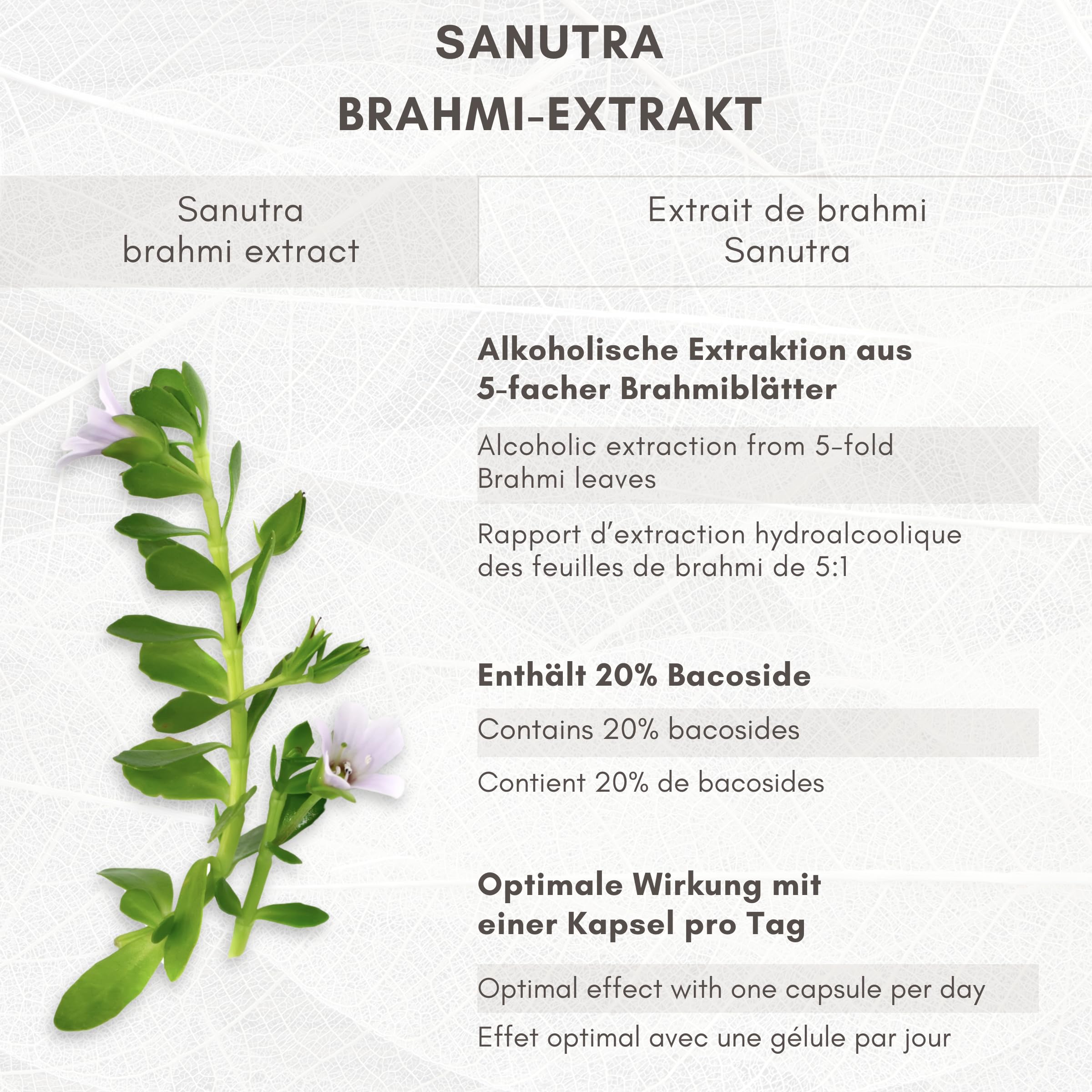 SANUTRA® Gélules de Brahmi hautement dosées – Extrait 5:1 avec 20% de bacosides, véganes, sans additifs, contrôlé contre les résidus, fabrication allemande, 180 gélules de 500 mg