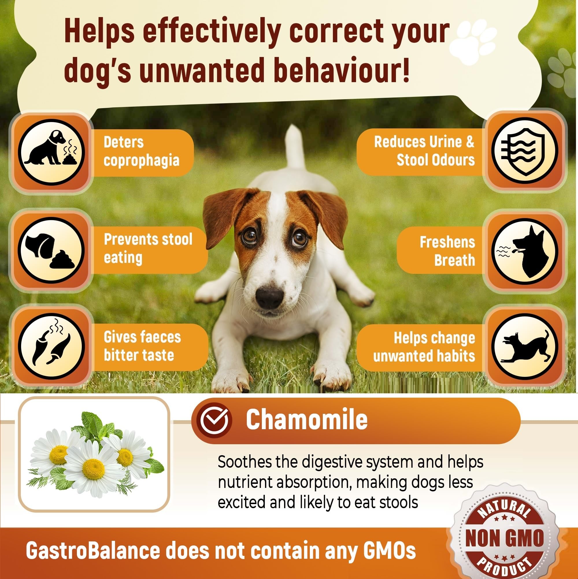 GastroBalance coprophagia stool eating deterrent- 60 coprophagia soft chews for your dog (Bacon flavour), natural - Image 4