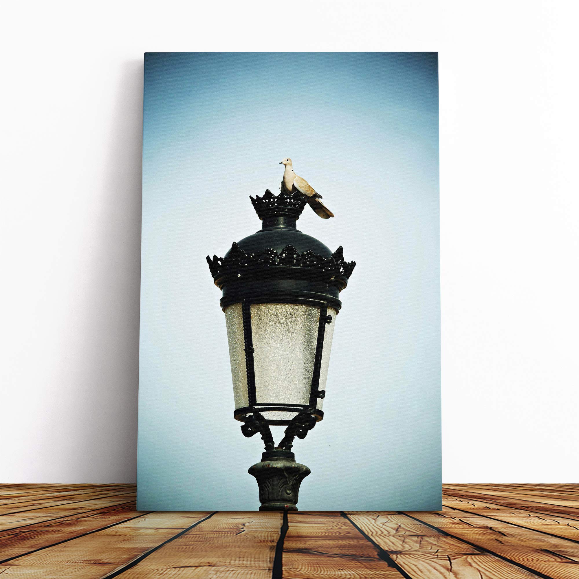 Turtledove Collared Dove Pigeon Canvas Print | Gallery Wrapped 30mm Frame Wall Art | 24x16 inches | Ready to Hang | Modern Picture | Living Room Bedroom Lounge Office