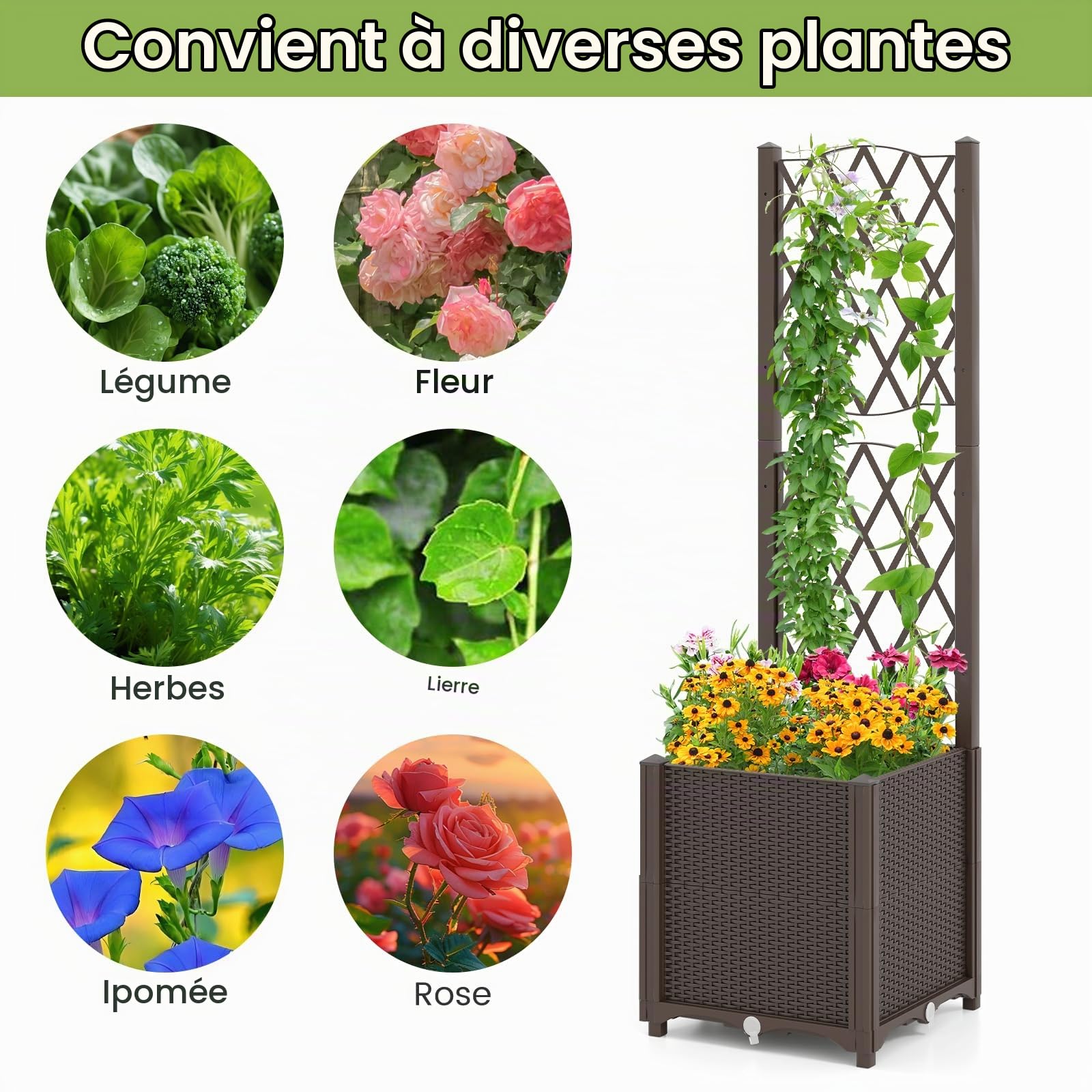 HOMASIS Lit de Jardin Surélevé en Bois avec Treillis, Jardinière d’Extérieur avec Disque Auto-Arrosant, Trous de Drainage, Bac à Fleurs pour Plantes Grimpantes, Légumes (Brun, 40x40x140cm)
