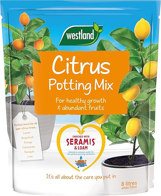Westland Citrus Potting Compost Mix and Enriched with Seramis, 8 L