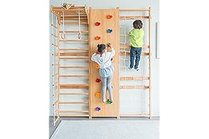 Walnut 9-in-1 Swedish Ladder Wall Gym Set