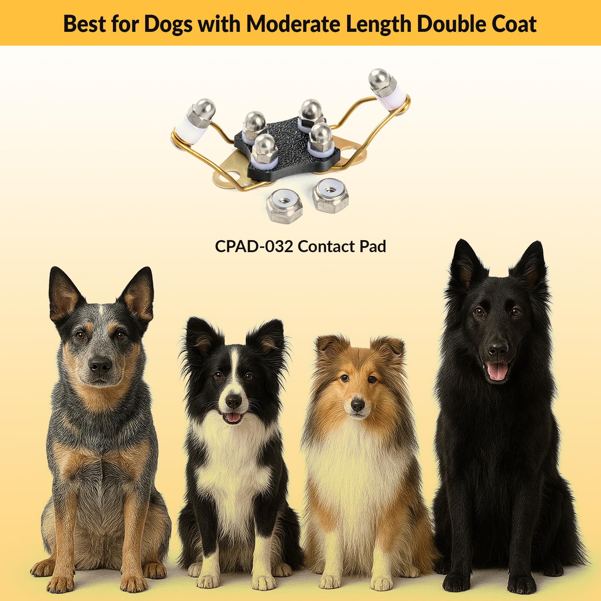 Double Coat Dos and Don'ts - Merryfield