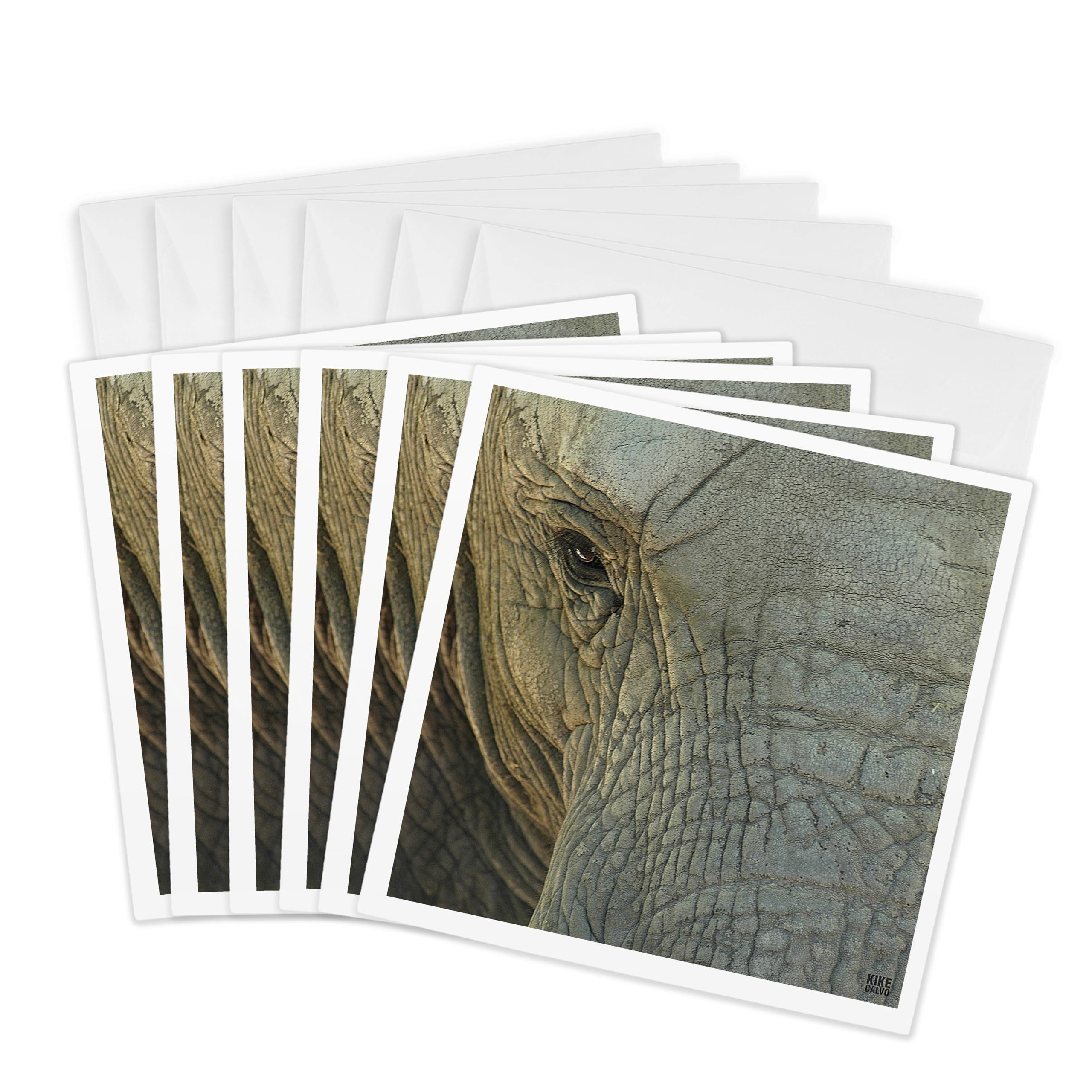 3dRose gc_9937_1 6 x 6-Inch "Elephant" Greeting Card (Pack of 6)