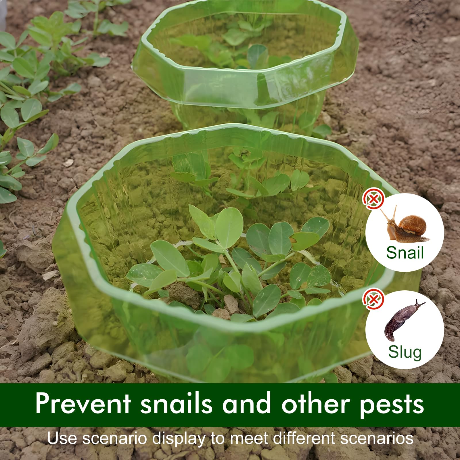 GOMETY 30 Pièces Colliers Anti-Limaces, Protection Anti-Escargots sans Produits Chimiques, Anneaux de Protection pour Salades et Choux, Barrière Réutilisable en Plastique