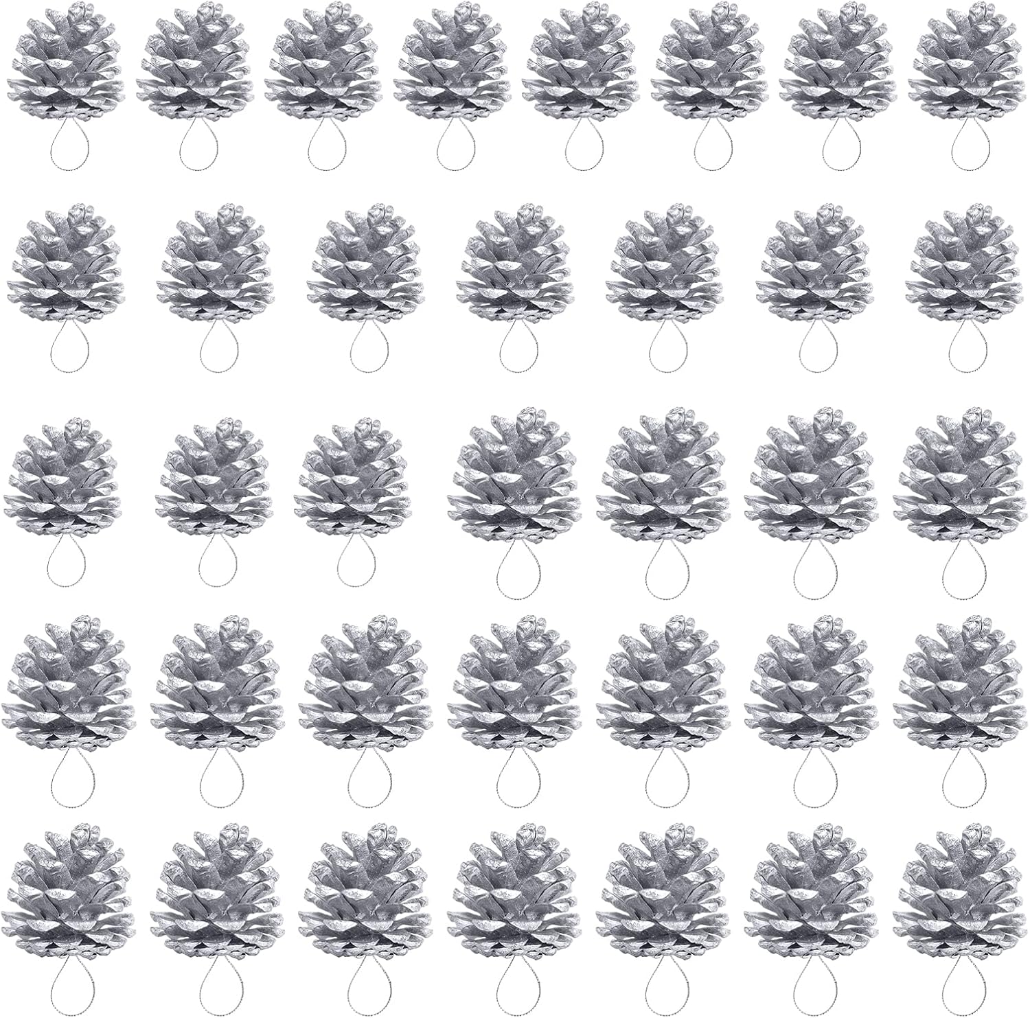 Bekecidi 36 Pieces Christmas Pine Cones Natural Mini Pine Cones