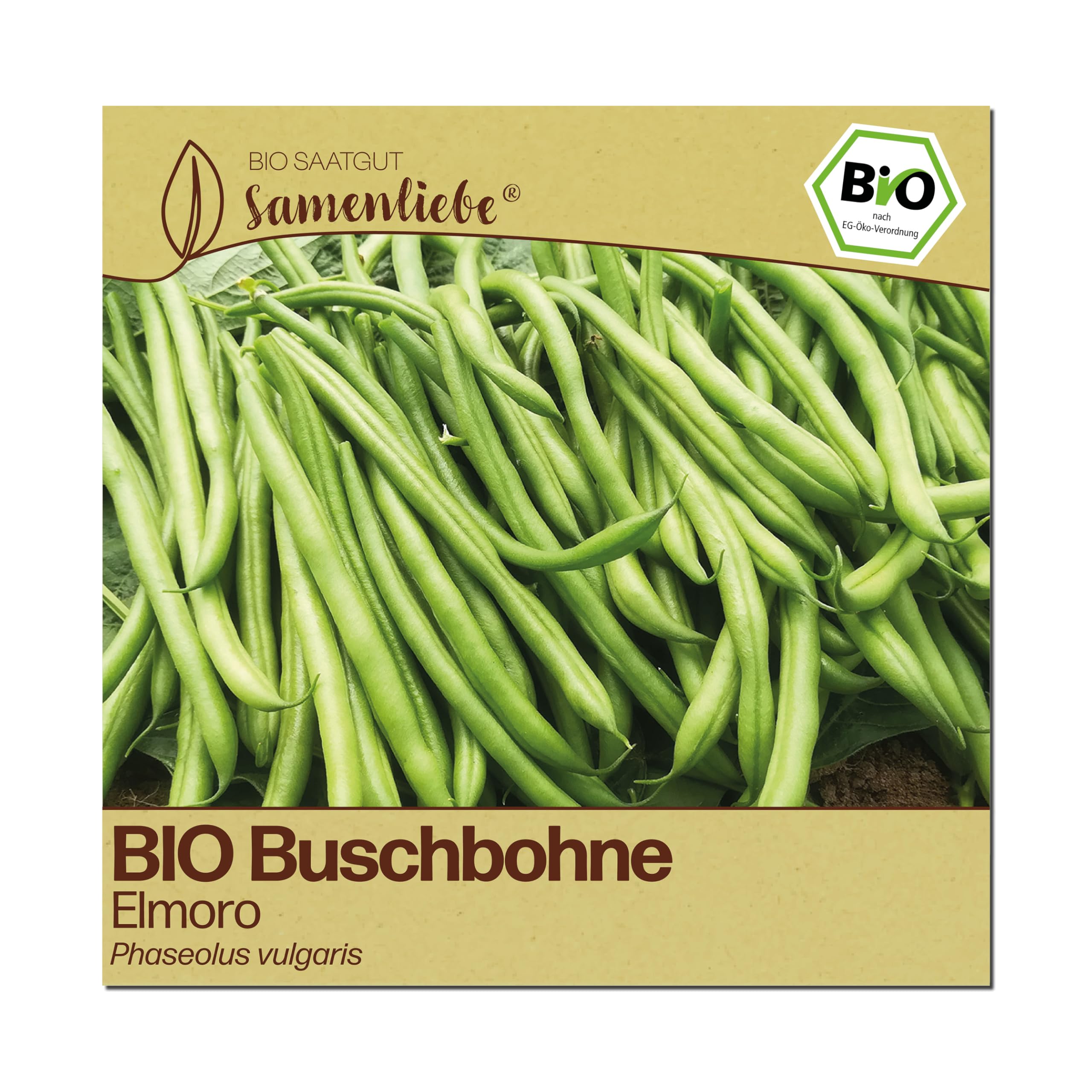 Samenliebe BIO Buschbohnen Samen | Bohne Elmoro - fadenlos - samenfestes BIO Saatgut