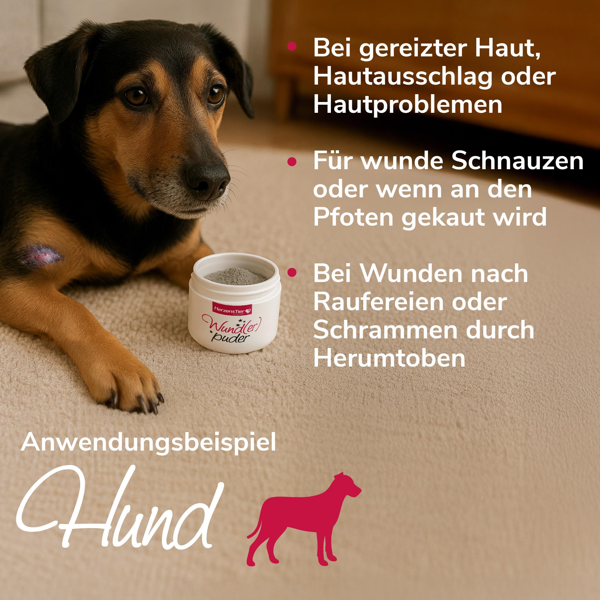 Wund(er) Puder 45g für Hund, Katze & Pferd - Trocknet nässende Wunden schnell, Hautberuhigend bei Verletzungen & Hautausschlag - Ideal für öffene Stellen